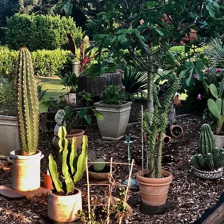 Am Stephanswaeldchen Apartman Kamp-Lintfort