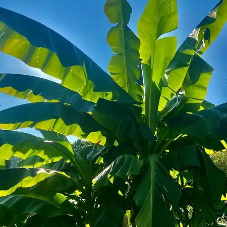 Am Stephanswaeldchen Apartmán