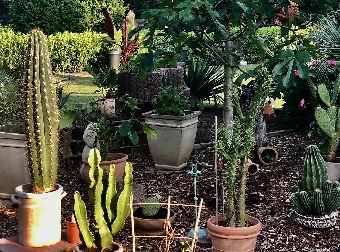 Am Stephanswaeldchen Lägenhet Kamp-Lintfort