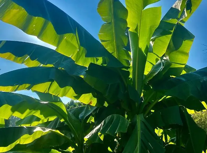 Am Stephanswaeldchen Lägenhet